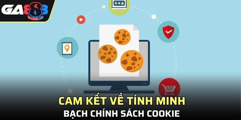 Cam kết về tính minh bạch Chính sách cookie