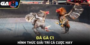 Đá Gà C1