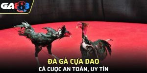 Đá Gà Cựa Dao