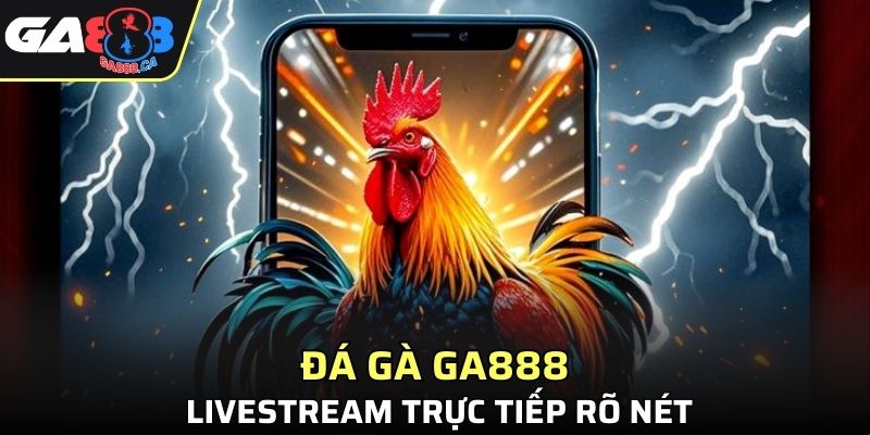 Đá gà GA888 livestream trực tiếp rõ nét