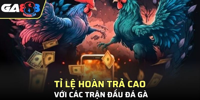 Hoàn trả lên tới 5% với các trận đấu đá gà