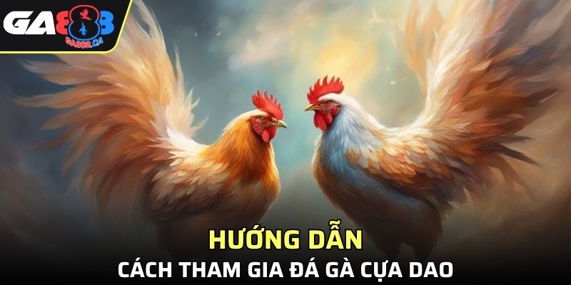 Hướng dẫn rõ ràng cách tham gia chọi kê cựa dao