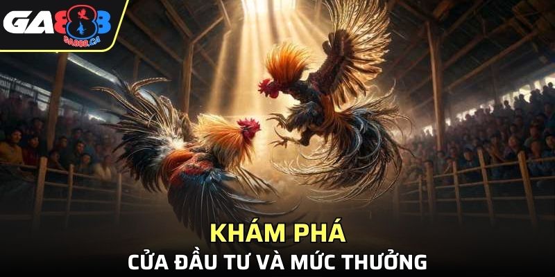 Khám phá cửa đầu tư và mức thưởng lớn áp dụng cho tân binh