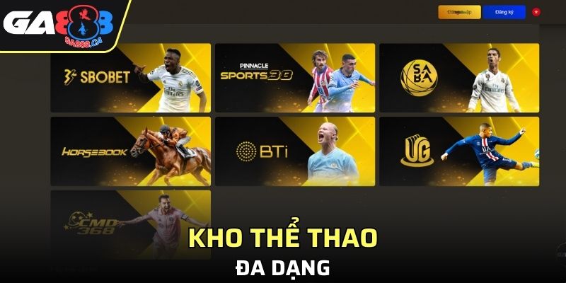 Kho thể thao đa dạng