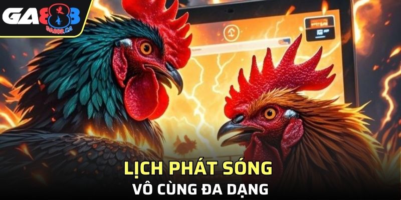 Lịch phát sóng chọi kê đa dạng