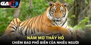 Nằm Mơ Thấy Hổ