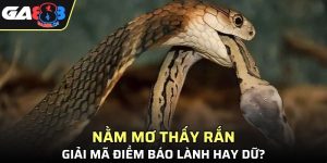 Nằm Mơ Thấy Rắn