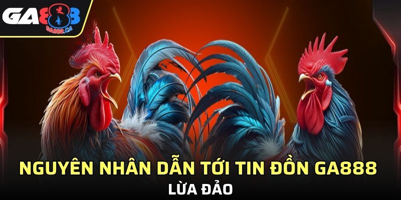 Nguyên nhân dẫn tới tin đồn GA888 lừa đảo