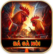Sảnh Đá Gà Nòi