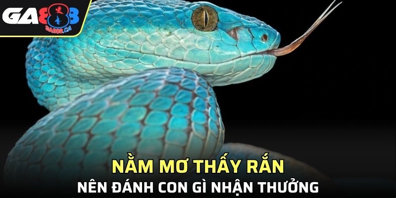 Tổng hợp những con đề may mắn giúp các bạn nhận thưởng lớn