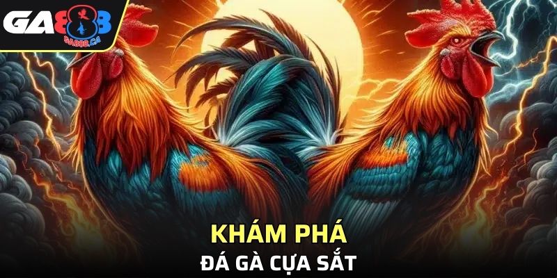 Tổng quan thông tin nổi bật về loại hình đá gà cựa sắt