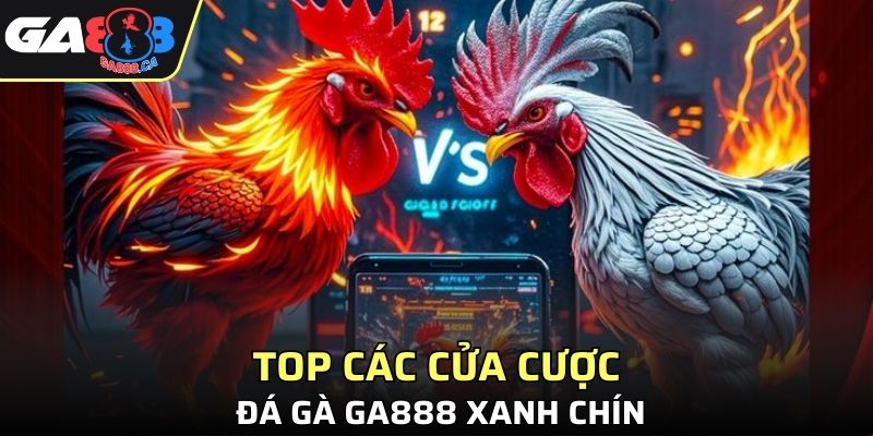 Top các cửa cược đá gà GA888 xanh chín
